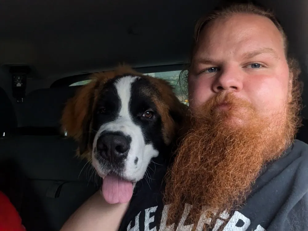 Reliable yard cleanup service in Mount Pleasant, PA by Husky Brothers