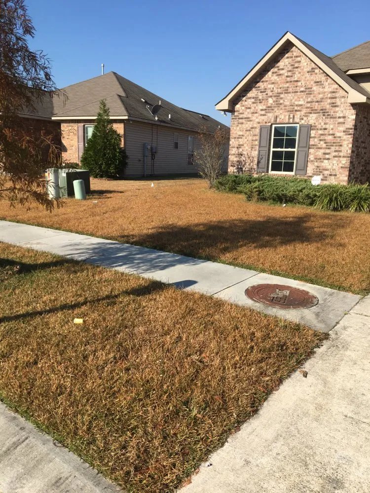Top-rated yard cleanup service in Walker, LA by Husky Lawn Service