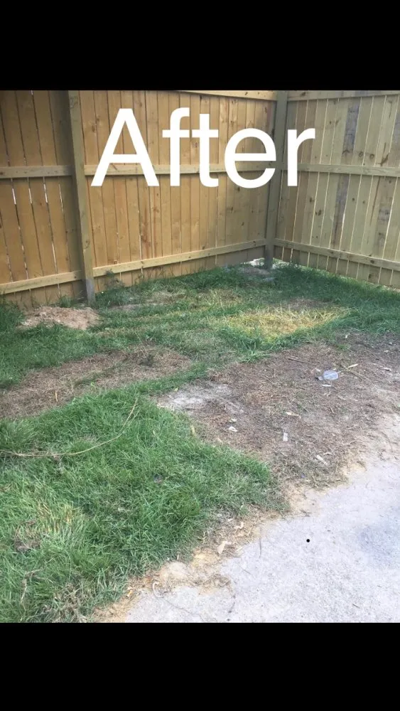 Local lawn mowing service for year-round maintenance across Walker, LA - Husky Lawn Service