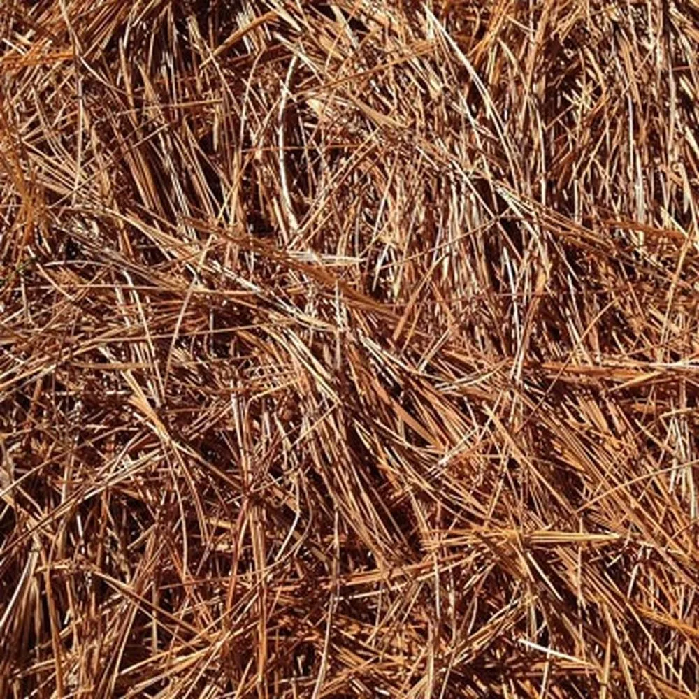 Custom lawn care service in Cumming, GA by Husky Pine Straw