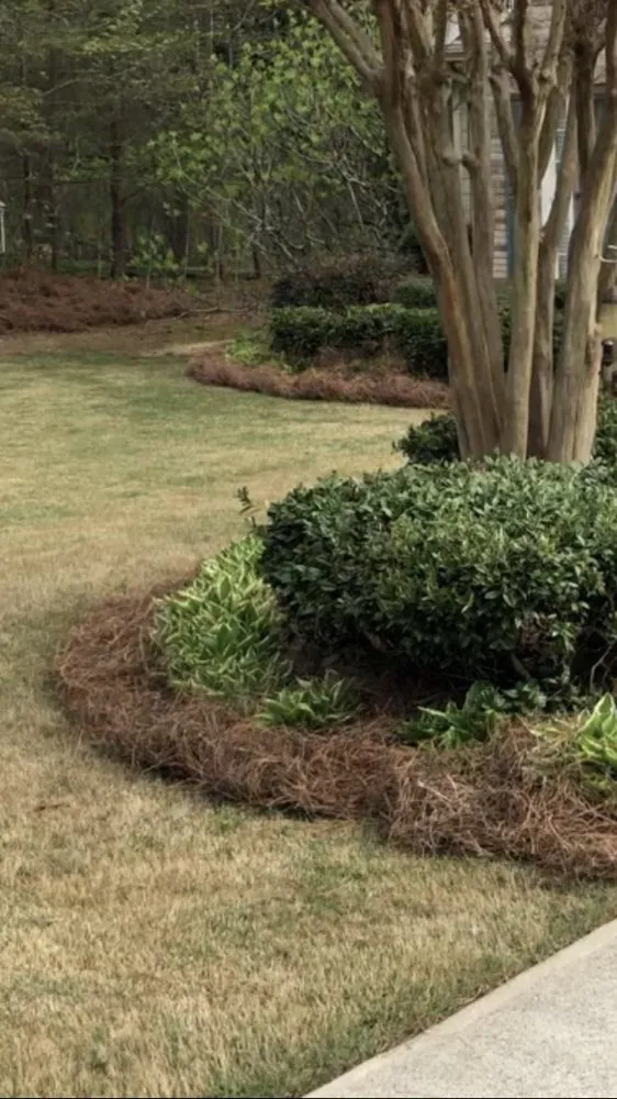 Custom landscaping services with custom design across Cumming, GA - Husky Pine Straw