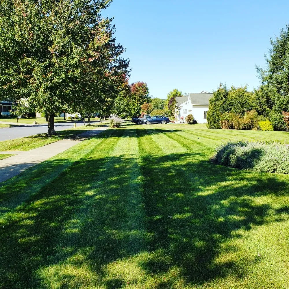 Local yard cleanup service in Philipsburg, PA by Husky Property Management