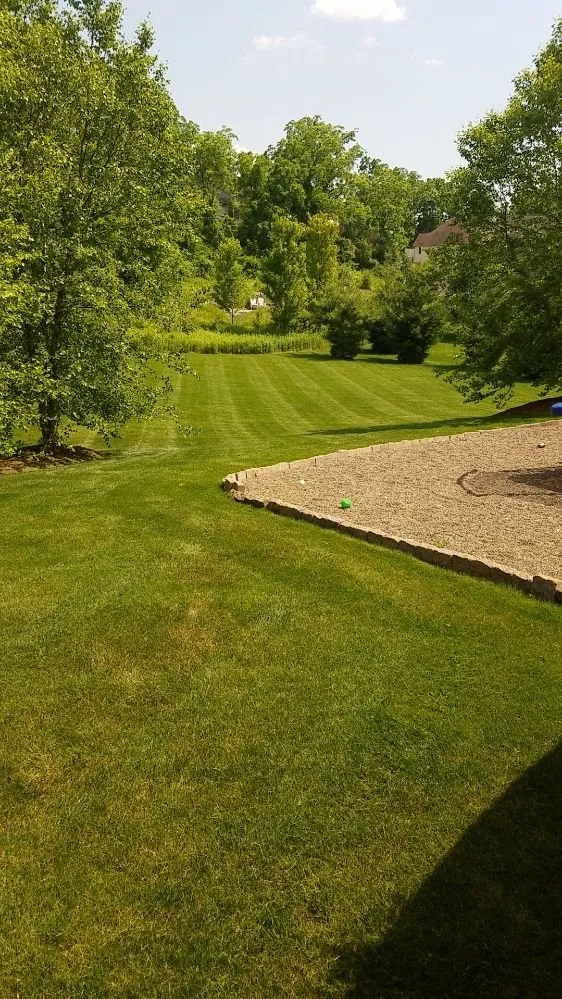 Affordable yard cleanup service in Philipsburg, PA by Husky Property Management