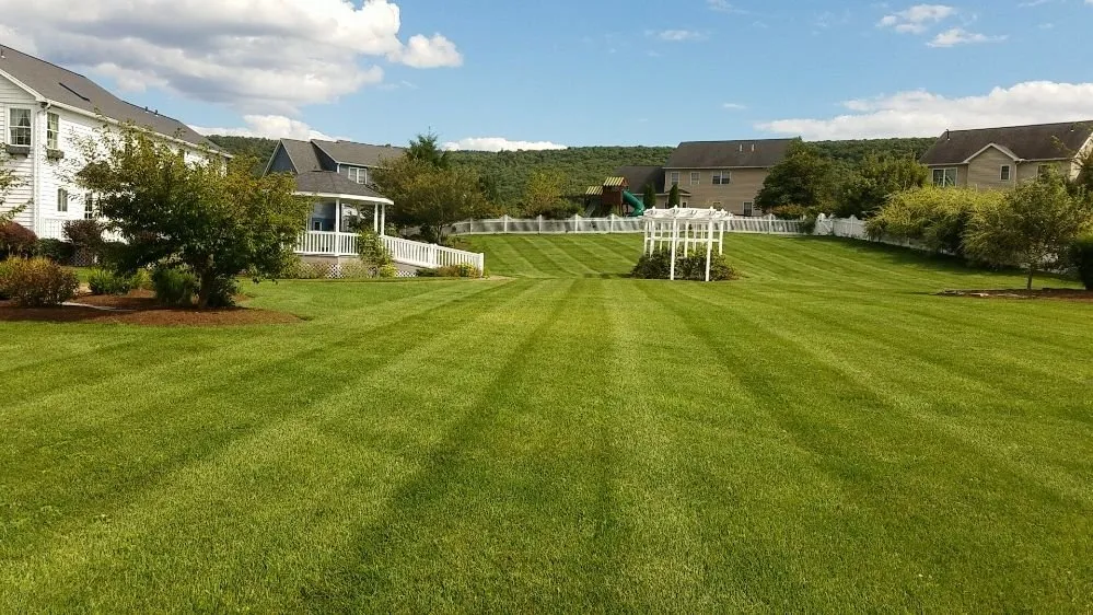 Reliable residential landscaping in Philipsburg, PA by Husky Property Management