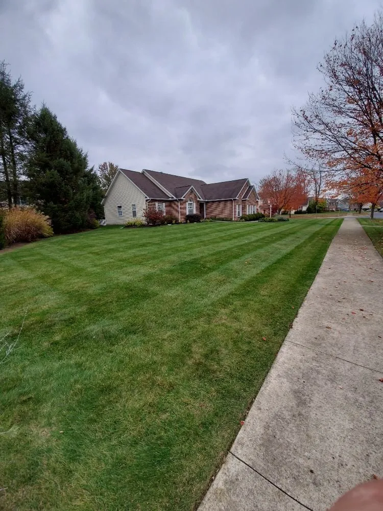 Affordable lawn mowing service in Philipsburg, PA by Husky Property Management