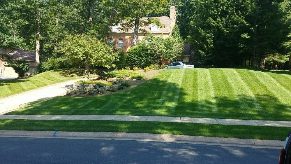 Professional landscaping services with custom design in Philipsburg, PA by Husky Property Management