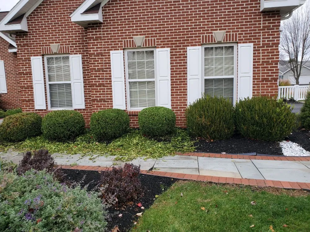 Local yard maintenance in Philipsburg, PA by Husky Property Management