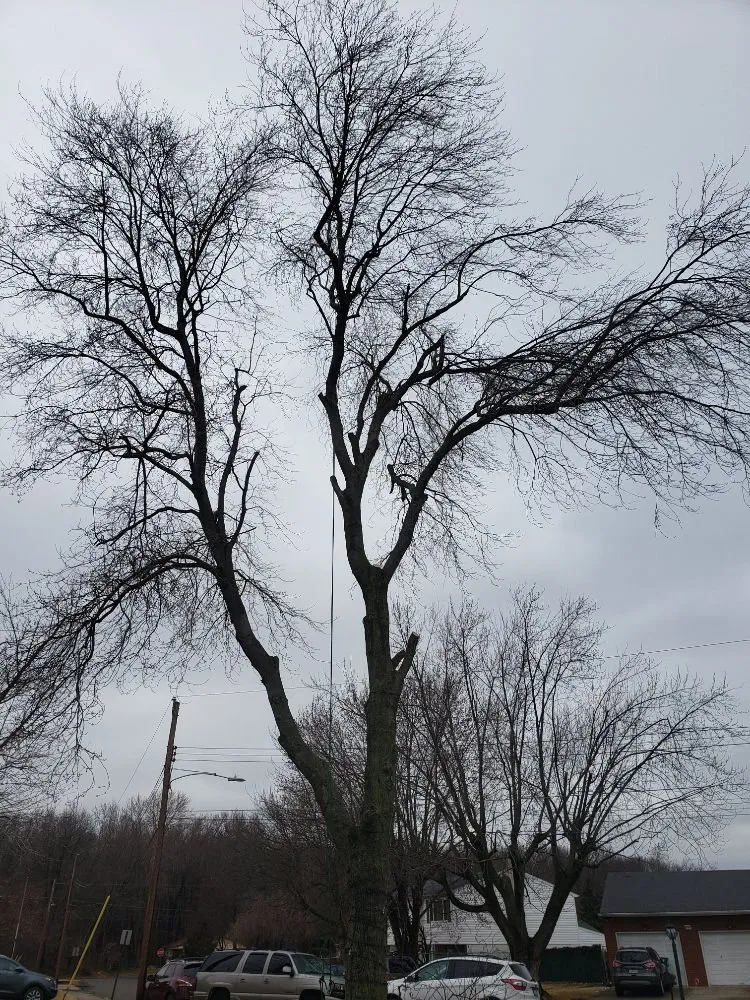 Trusted landscape installation for beautiful yards across New Castle, DE - Hustead And Sons Tree Service