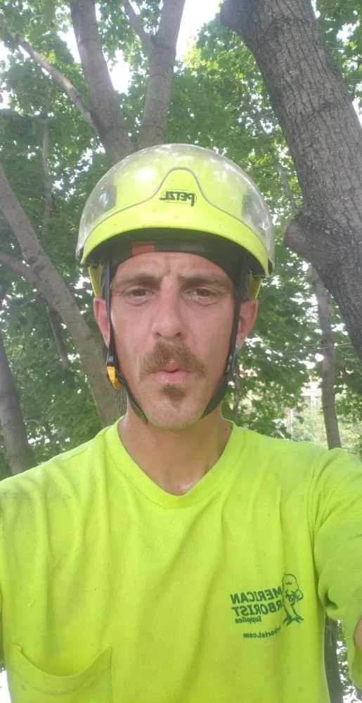 Affordable lawn care service for residential properties across New Castle, DE - Hustead And Sons Tree Service