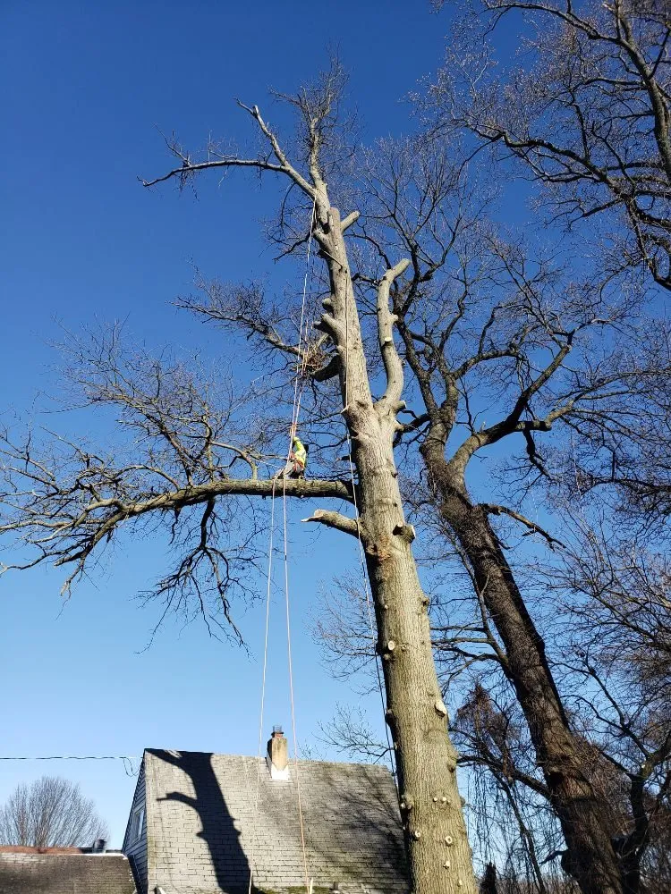 Professional garden landscaping in New Castle, DE by Hustead And Sons Tree Service