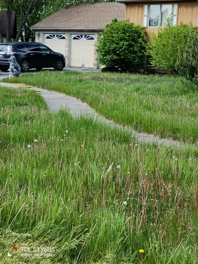 Affordable lawn care service in Chicago Heights, IL - Hustle Crow Enterprises