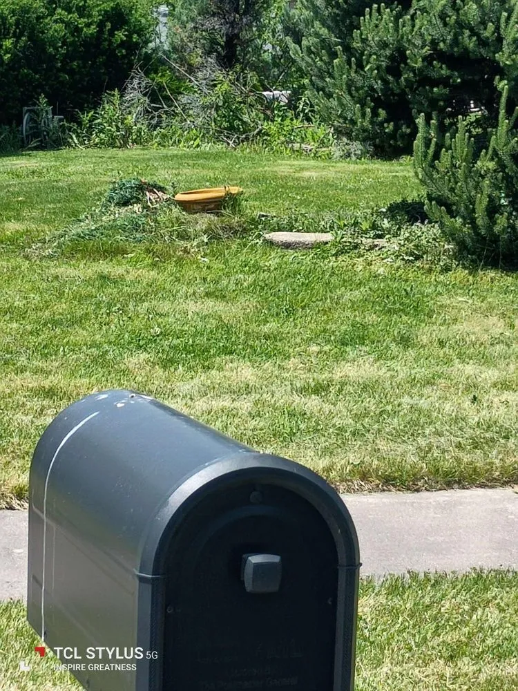 Reliable landscape design experts serving Chicago Heights, IL - Hustle Crow Enterprises