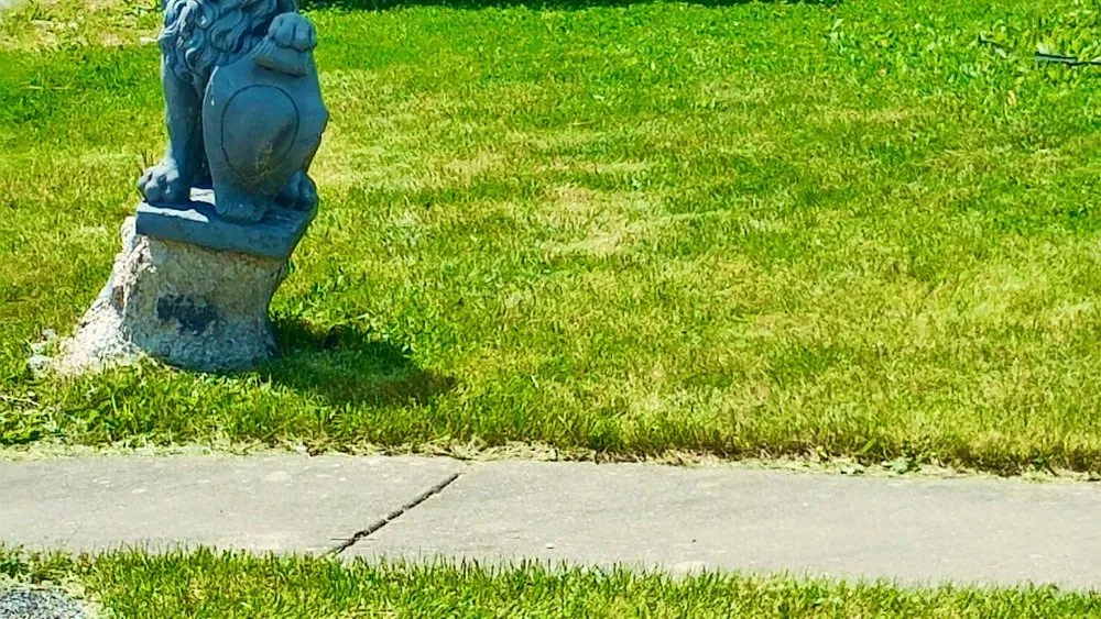 Local garden landscaping in Chicago Heights, IL by Hustle Crow Enterprises