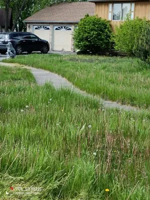 Hustle Crow Enterprises Logo