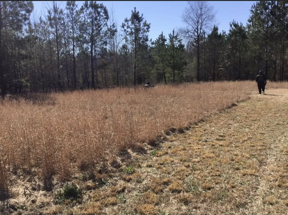 Top-rated garden landscaping near you in Hopkins, SC by Hustle Husbands