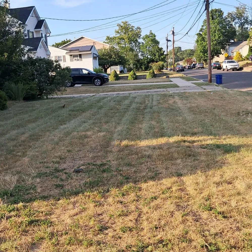 Custom yard maintenance in Lindenwold, NJ - Hustle Innovations