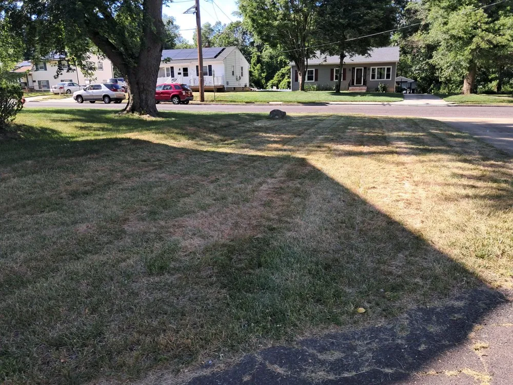 Local lawn care service in Lindenwold, NJ by Hustle Innovations