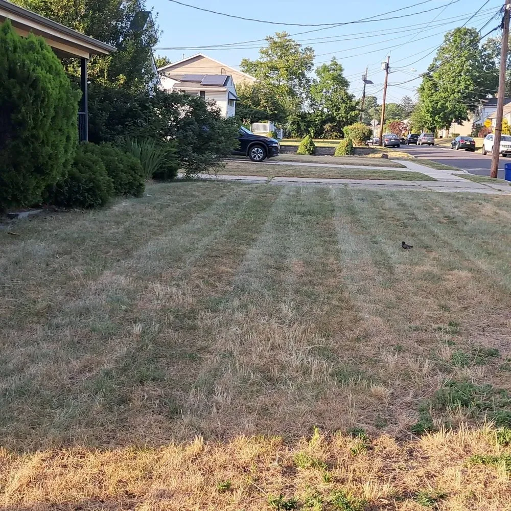 Affordable lawn care service in Lindenwold, NJ - Hustle Innovations