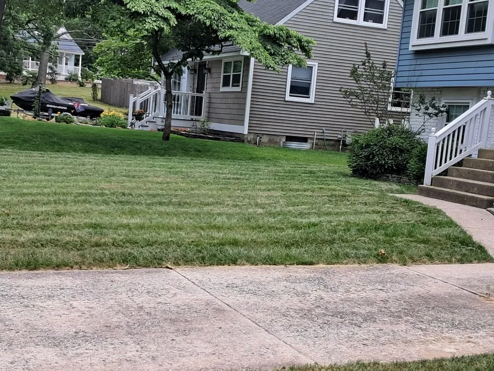 Professional landscaping services for beautiful yards across Lindenwold, NJ - Hustle Innovations