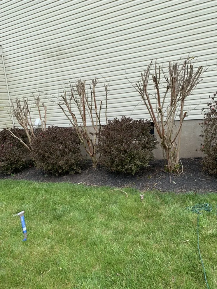 Local outdoor landscaping experts serving Douglassville, PA - Hustle Lawn And Landscaping
