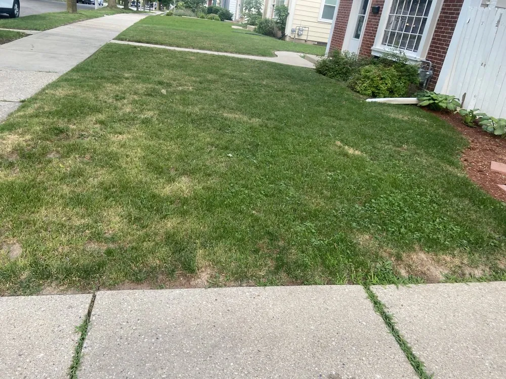 Professional outdoor landscaping in Milwaukee, WI - Hustlin Handy Handz