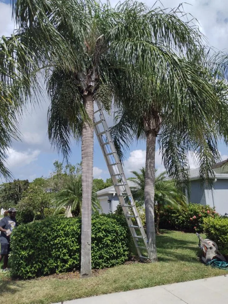 Custom garden landscaping with custom design in North Port, FL by Hustlin Landscaping