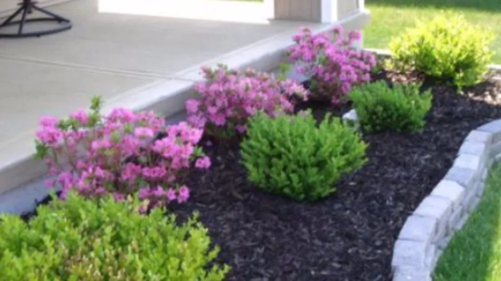 Expert landscape installation in Northwood, OH - Hutch And Sons