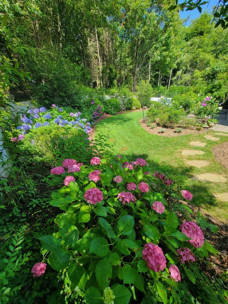 Top-rated yard cleanup service in Asheville, NC by Hutch 'N Son