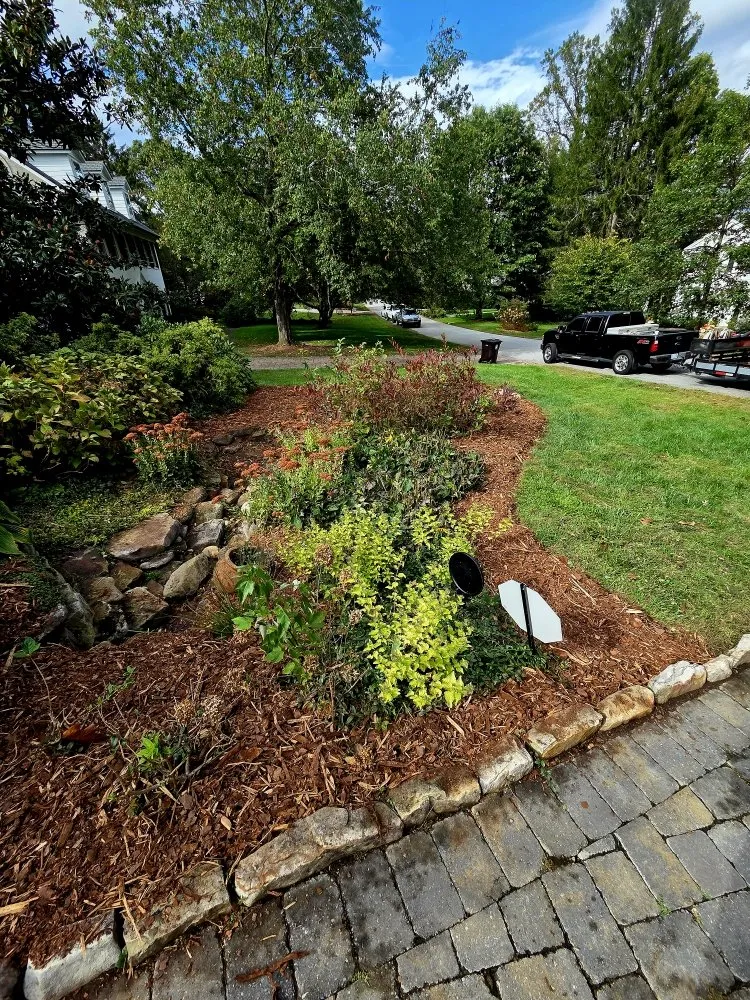 Trusted yard cleanup service for beautiful yards in Asheville, NC by Hutch 'N Son