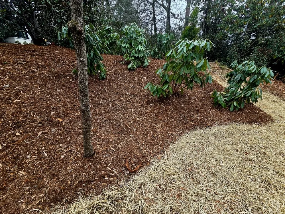 Reliable yard maintenance in Asheville, NC by Hutch 'N Son