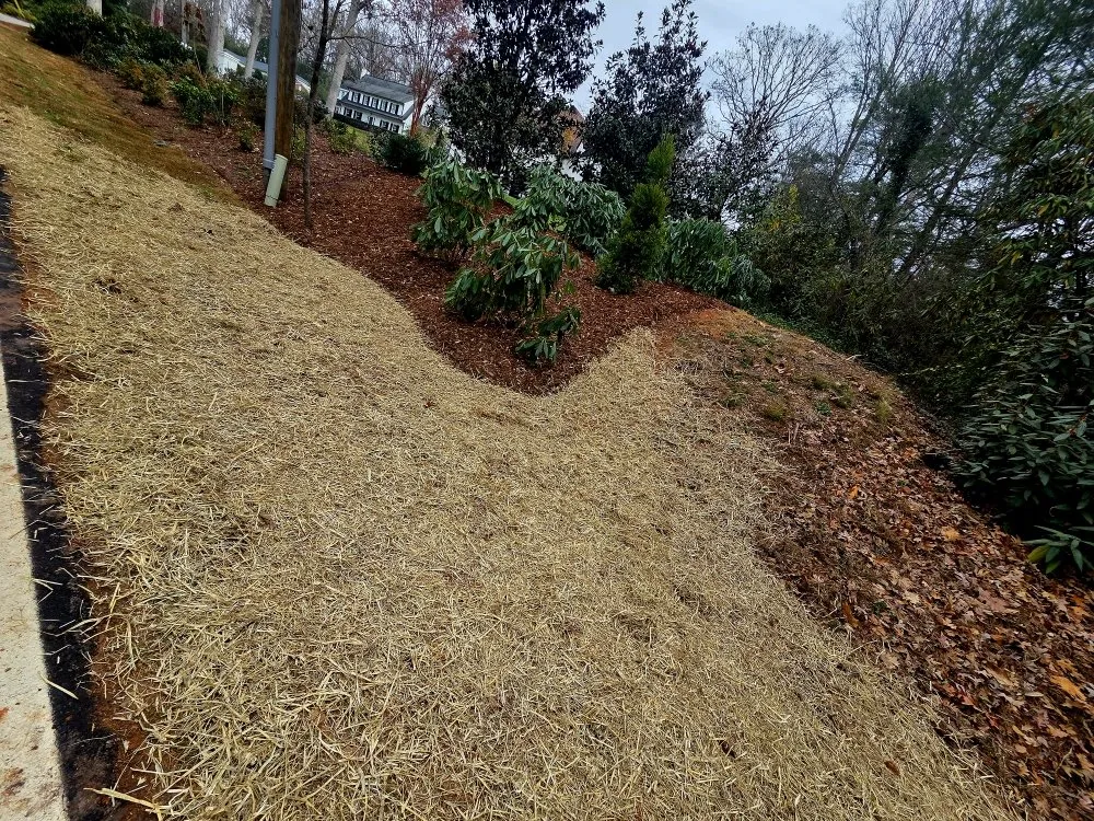 Affordable lawn mowing service in Asheville, NC - Hutch 'N Son