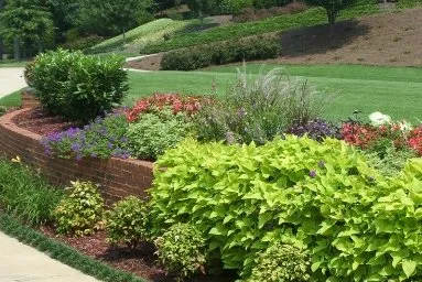 Reliable landscape design near you across Woodstock, GA - Hutcheson Horticultural