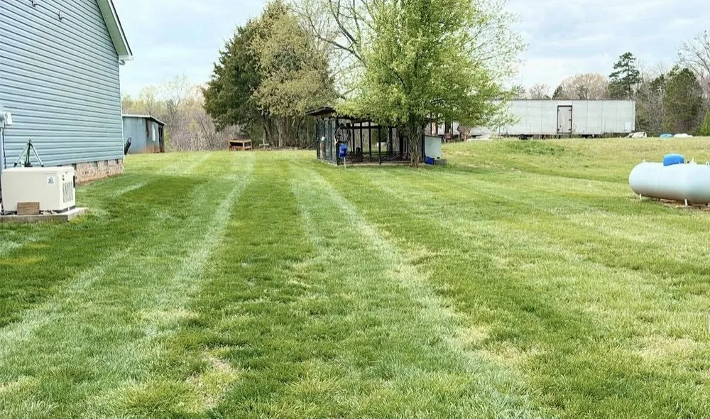 Custom yard cleanup service in Haw River, NC - Hutchins Lawn Care Services