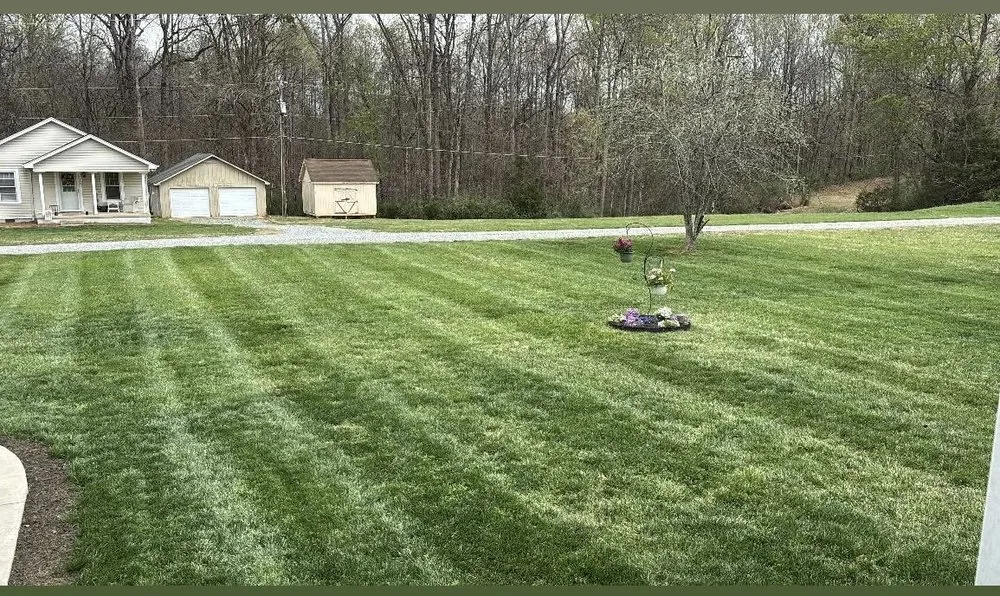 Affordable yard cleanup service for year-round maintenance in Haw River, NC by Hutchins Lawn Care Services