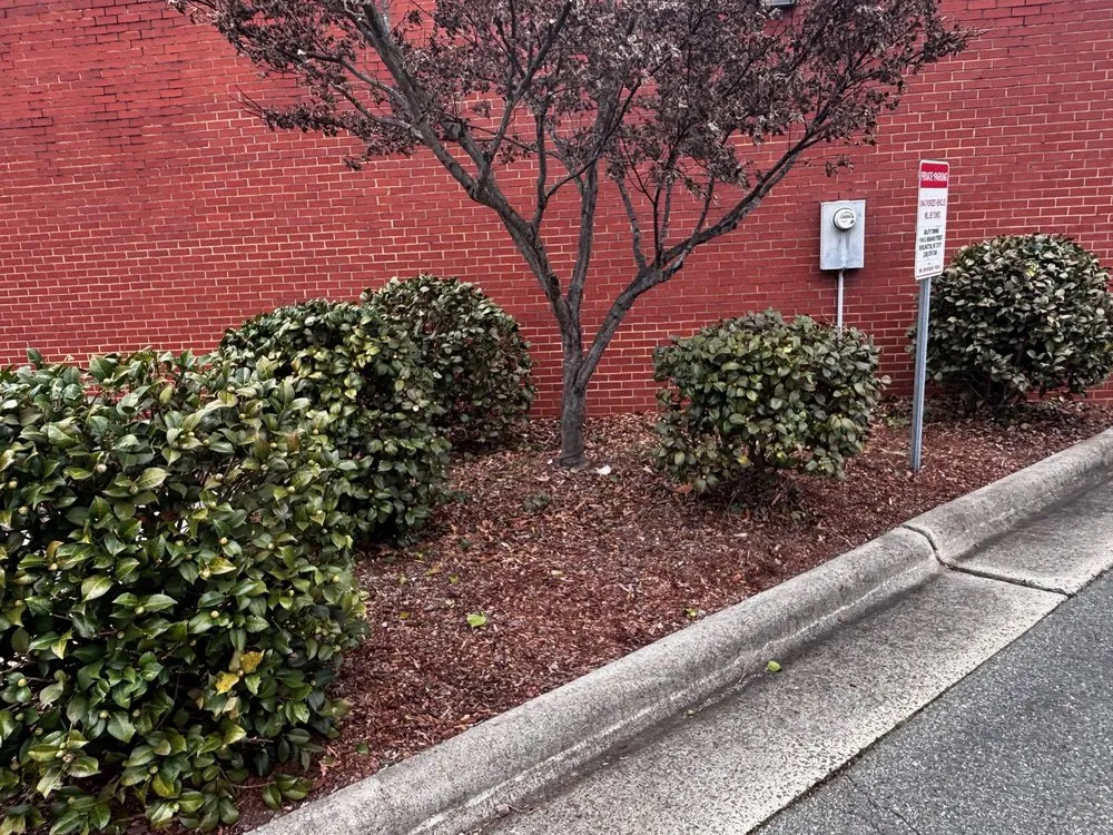 Reliable landscaping services for outdoor upgrades in Haw River, NC by Hutchins Lawn Care Services