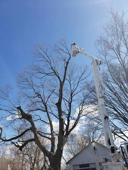 Professional outdoor landscaping for outdoor upgrades across Decatur, IL - Hutchins Tree Service