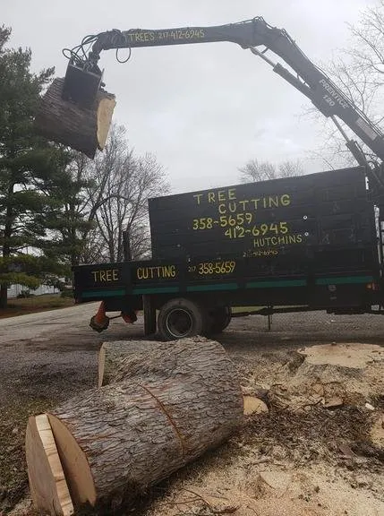 Reliable outdoor landscaping experts serving Decatur, IL - Hutchins Tree Service