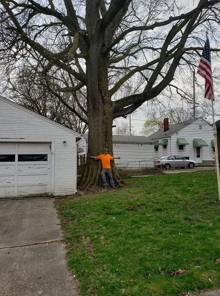 Reliable outdoor landscaping in Decatur, IL - Hutchins Tree Service