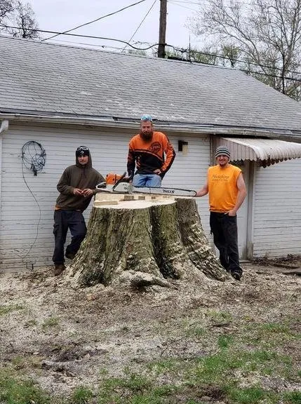 Custom residential landscaping experts serving Decatur, IL - Hutchins Tree Service