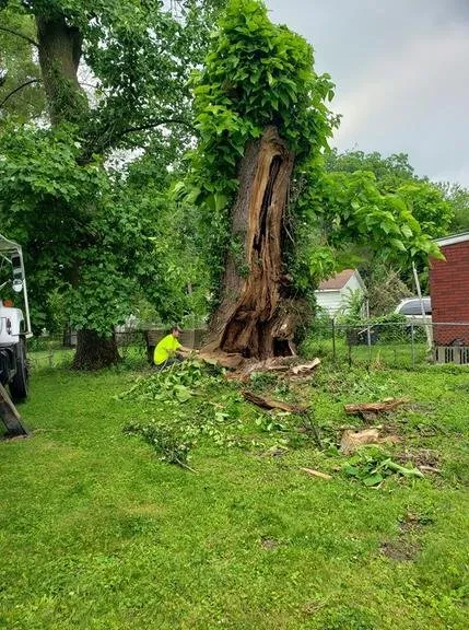 Affordable garden landscaping experts serving Decatur, IL - Hutchins Tree Service