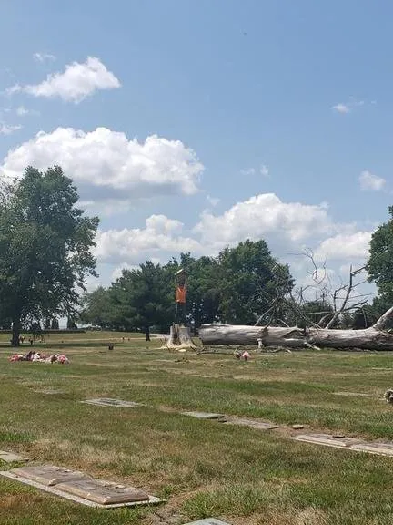 Top-rated garden landscaping in Decatur, IL - Hutchins Tree Service