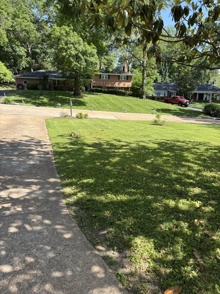 Trusted yard cleanup service in Saint Louis, MO - Hutchison Brothers Lawn Care