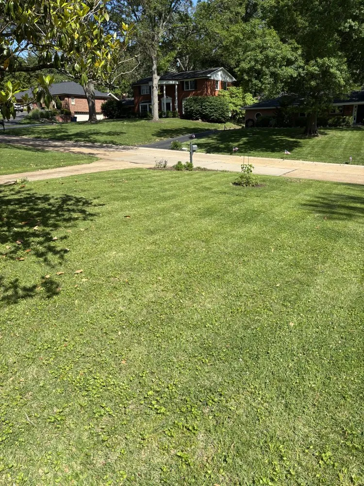 Local yard maintenance experts serving Saint Louis, MO - Hutchison Brothers Lawn Care
