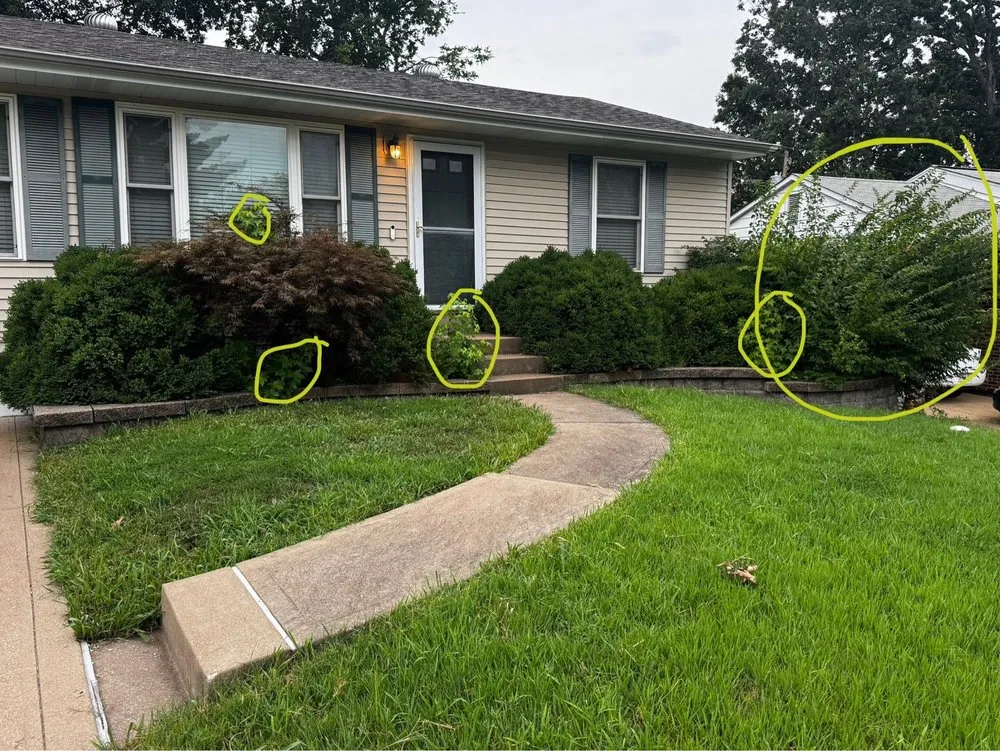 Expert landscape design in Saint Louis, MO - Hutchison Brothers Lawn Care