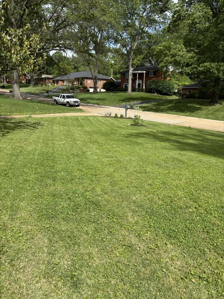 Trusted landscape design experts serving Saint Louis, MO - Hutchison Brothers Lawn Care