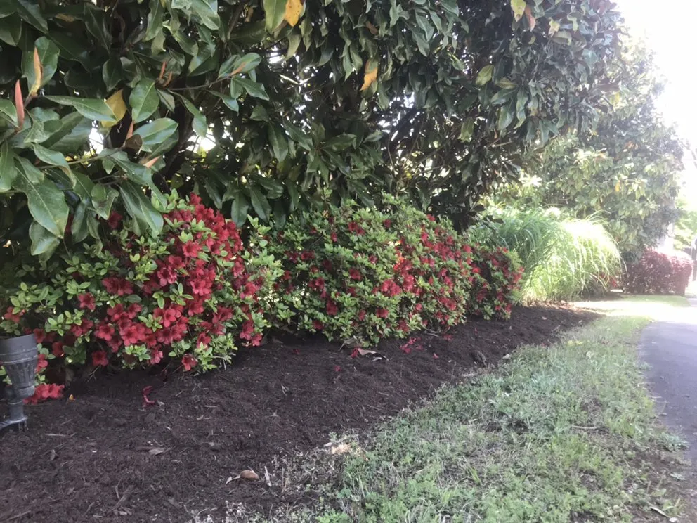 Affordable lawn mowing service experts serving Greenbrier, AR - Hutch's Hometown Services