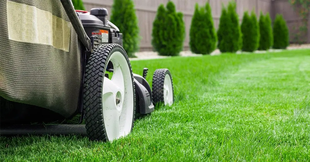 Expert lawn care service experts serving Greenbrier, AR - Hutch's Hometown Services