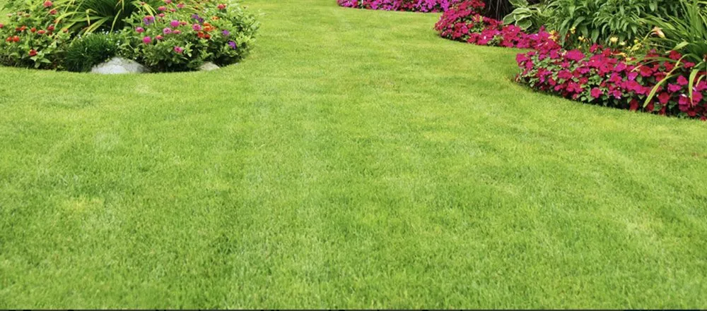 Reliable outdoor landscaping experts serving Inman, SC - Hutch’s Lawn & Extras