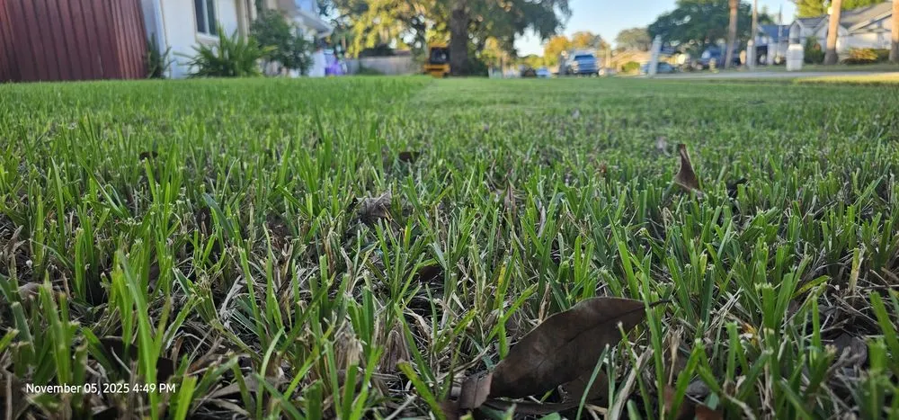 Professional residential landscaping experts serving Melbourne, FL - Hutker Property Solutions