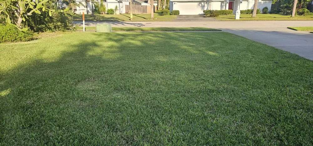 Professional yard cleanup service experts serving Melbourne, FL - Hutker Property Solutions